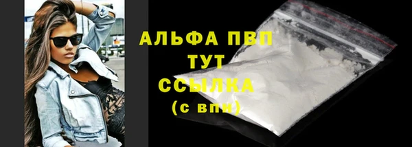 прущие грибы Баксан