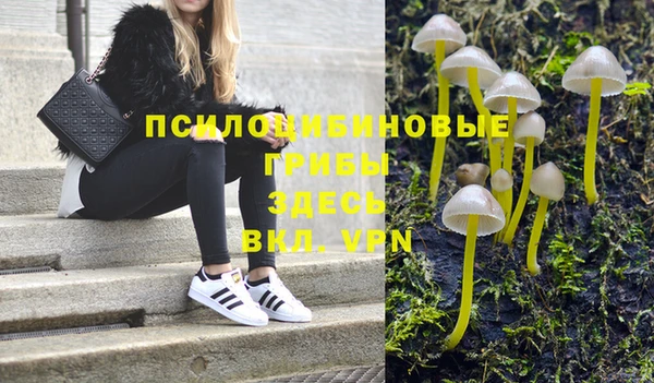 PSILOCYBIN Балабаново