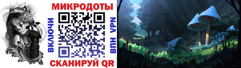 Галлюциногенные грибы Psilocybe Гусь-Хрустальный