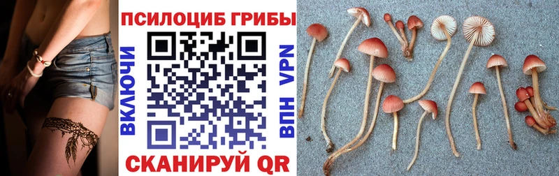 Галлюциногенные грибы мицелий  мориарти телеграм  Гусь-Хрустальный 
