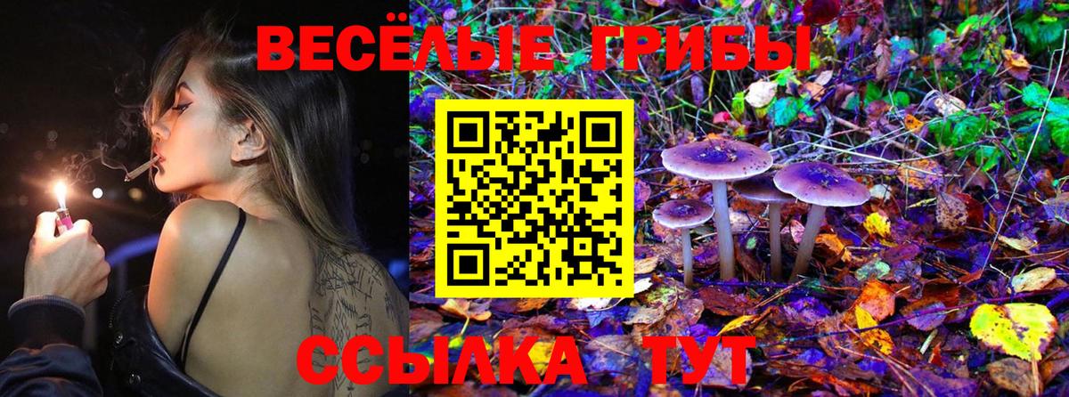 Псилоцибиновые грибы Cubensis Гусь-Хрустальный