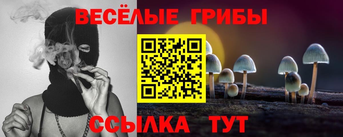 Гусь-Хрустальный  Псилоцибиновые грибы Psilocybine cubensis  Вход с VPN 